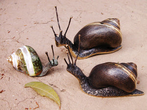 Handmade Cast Dark Bronze Snail Large Paperweight